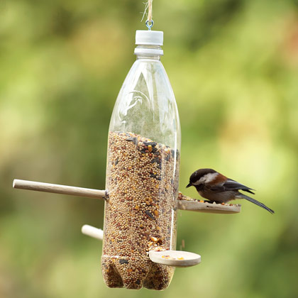 water bottle bird feeder craft pictures