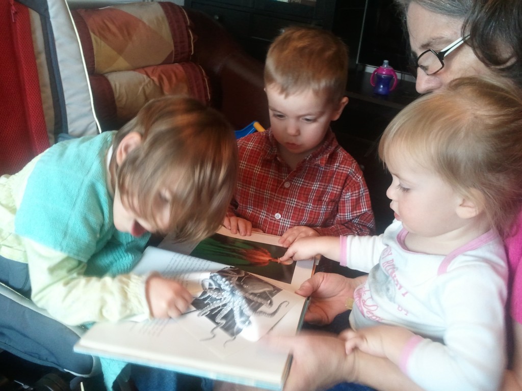 kids learn about octopus from books