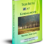 Tiger Beetle at Kendallwood