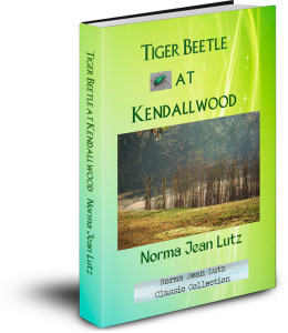 Tiger Beetle at Kendallwood