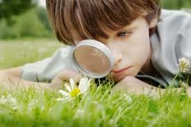 boy studying photos