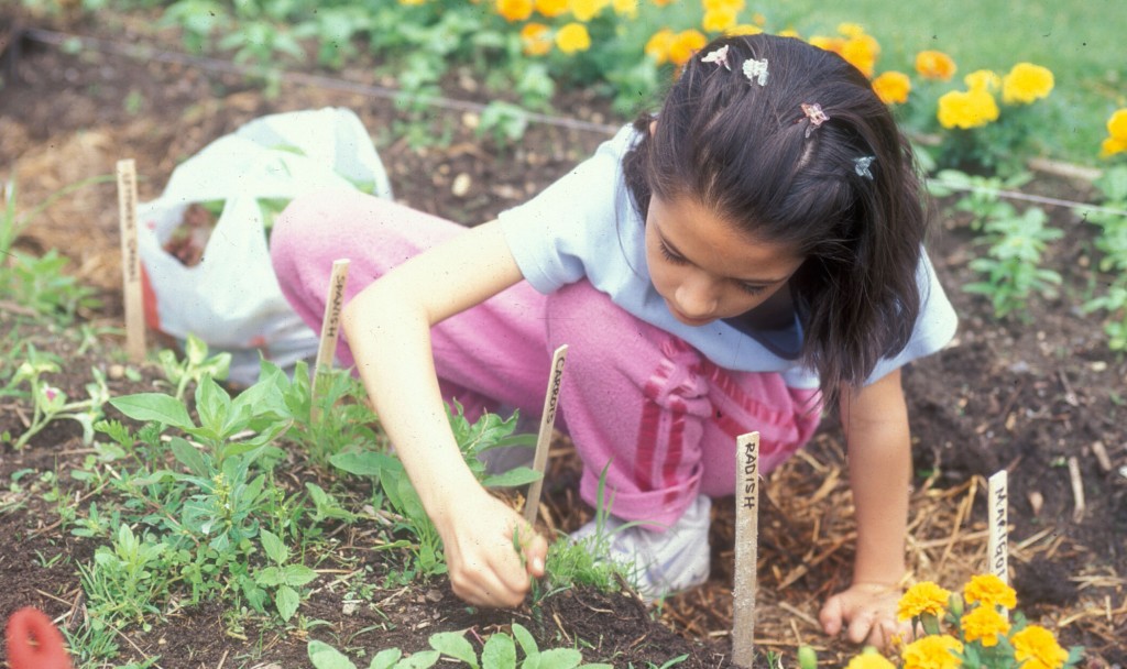 kid weeding picture