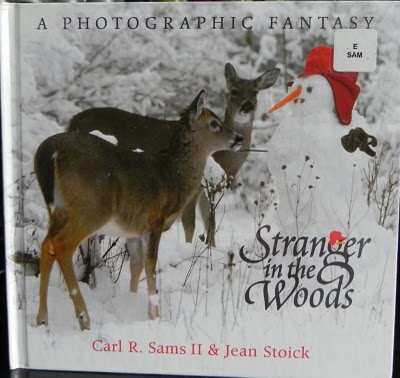 Stranger in the Woods book pictures