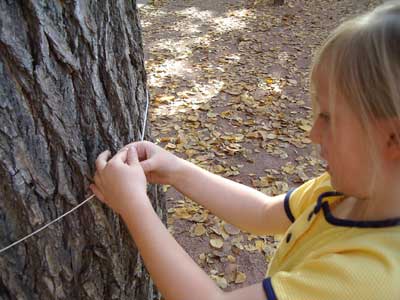 child measuring image