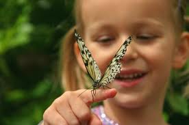 girl with butterfly picture