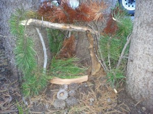 fairy house pictures