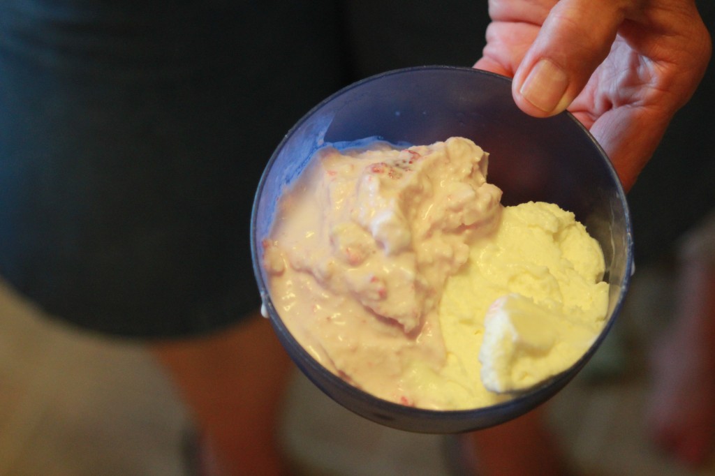 home made ice cream picture