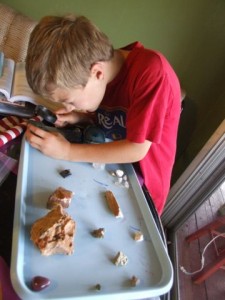 boy with rocks