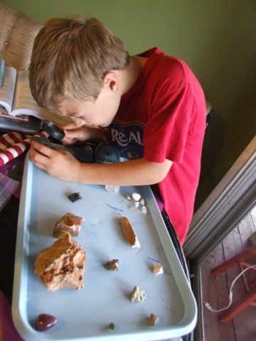 boy with rocks